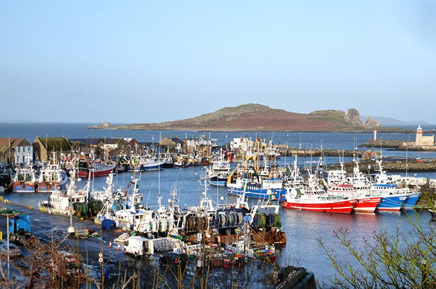 fishing fleet in Howth