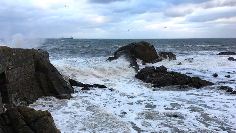 forty foot storm dublin bay