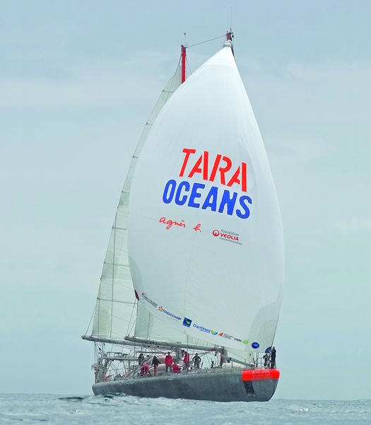 taraoceans large
