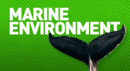 Marine Environment Marine Environment