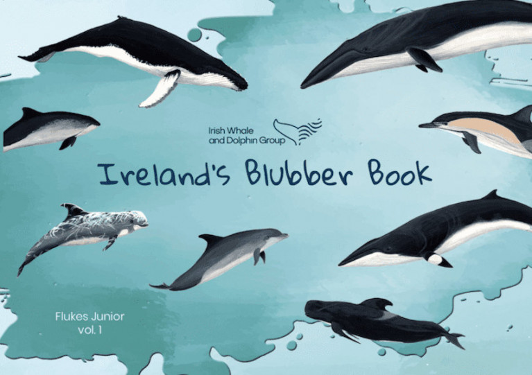 ‘Ireland’s Blubber Book’ — A New Educational Resource for Young &amp; Aspiring Marine Biologists