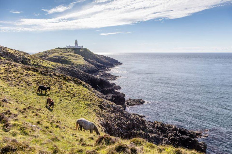 Strumble Head Lighthouse in south Wales where AFLOAT adds is located close to the Port of Fishguard where the ferry operator Stena Line has made a donation to boost biodiversity along the Pembrokeshire Coast Path National Trail.