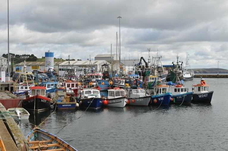 The National Inshore Fisherman&#039;s Association fleet (NIFA) is one of 15 groups making representations to the take the “steps necessary” to reinstate the ban and protect inshore stocks