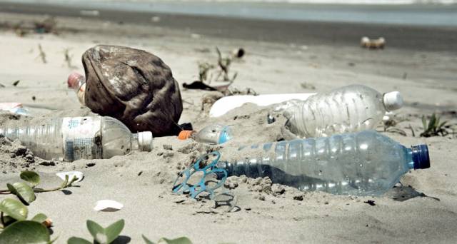 Plastic & Nitrates Concerns For Irish Shores In Latest Coastwatch Survey