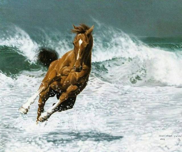 Putting a spin on it - a new twist in the ancient interaction between horses and the sea has been revealed in rumours of negotiations affecting the Irish bloodstock and fishing industries