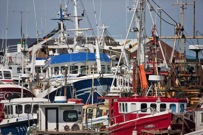 File image of Howth’s fishing fleet in port