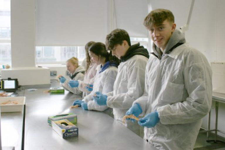 TY students getting hands-on with marine science at the Marine Institute recently