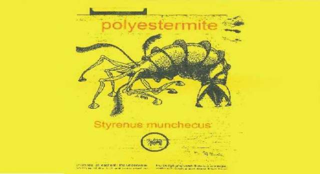 The polyestermite – nasty little thing, consuming fibreglass boats somewhere near you. The rumour is that they breed them in Glandore