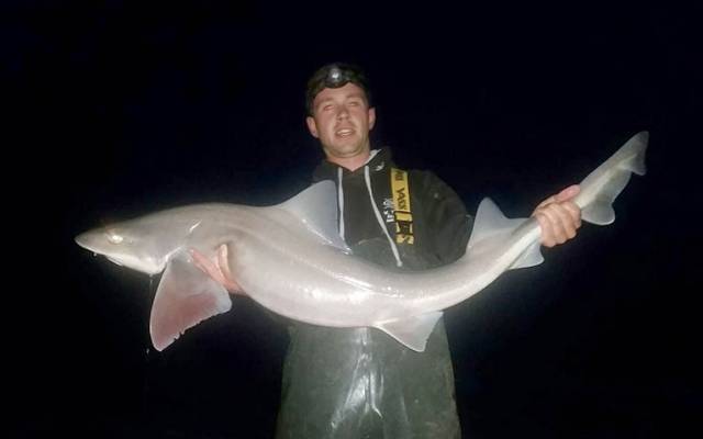 Angler Dean Quigley wit the new Irish record Smooth-hound