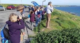 The All Ireland Whale Watch Day takes place next Saturday 24th August between 2:00-5:00pm, at headlands around the coastline. So join in and so doing, you are supporting Whale and Dolphin conservation in Ireland.