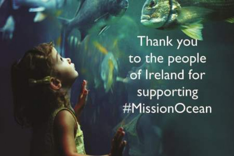 More Than 1,000 In Ireland Contribute To Citizen Survey On Health Of Marine & Freshwater Environment