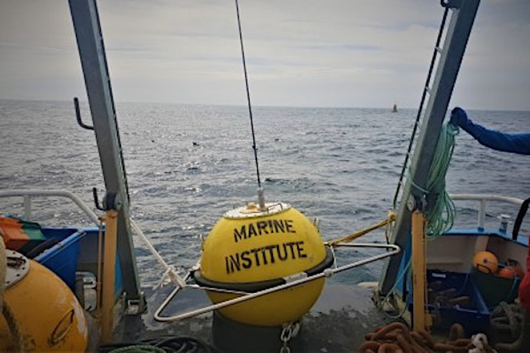The wave buoy is  deployed in Brandon Bay on the 1, December 2020