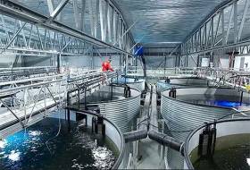 A land-based fish farm