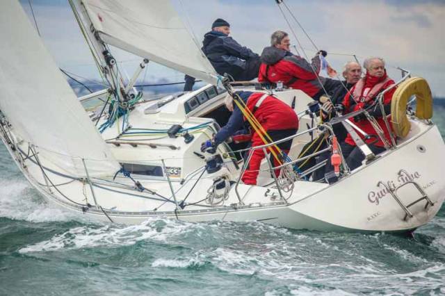 At least 16 Sigmas will race at Dun Laoghaire Regatta 