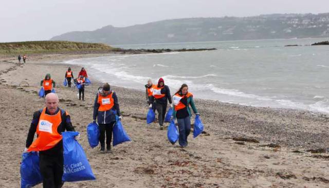 Volunteers removed half a ton of marine litter from Ireland's Eye