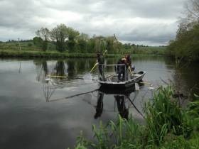 Inland Fisheries Ireland staff electrofishing on the River Barrow as part of the research