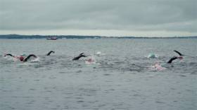 Swimmers crossing Galway Bay for the annual charity swim on Saturday 23 July