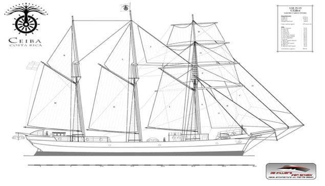 Barque 8