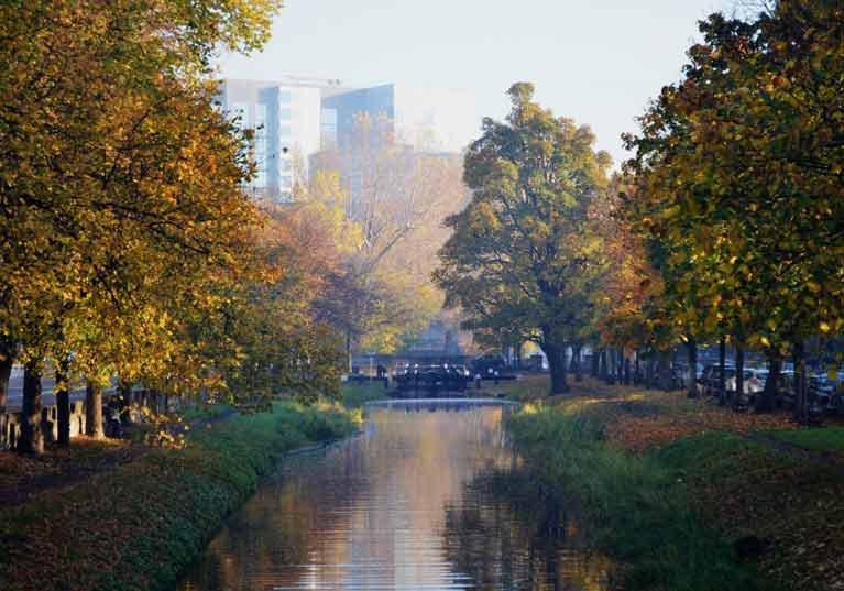 autumn grand canal6