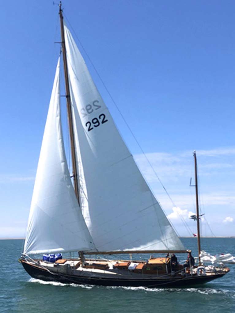 Amokura sailing7