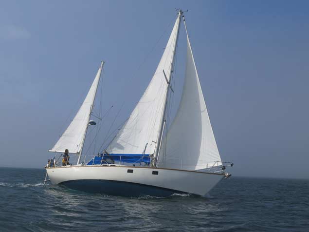Side Profile Full sail