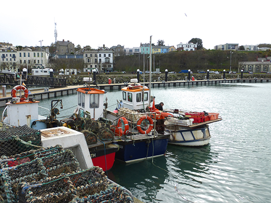 howth harbour15