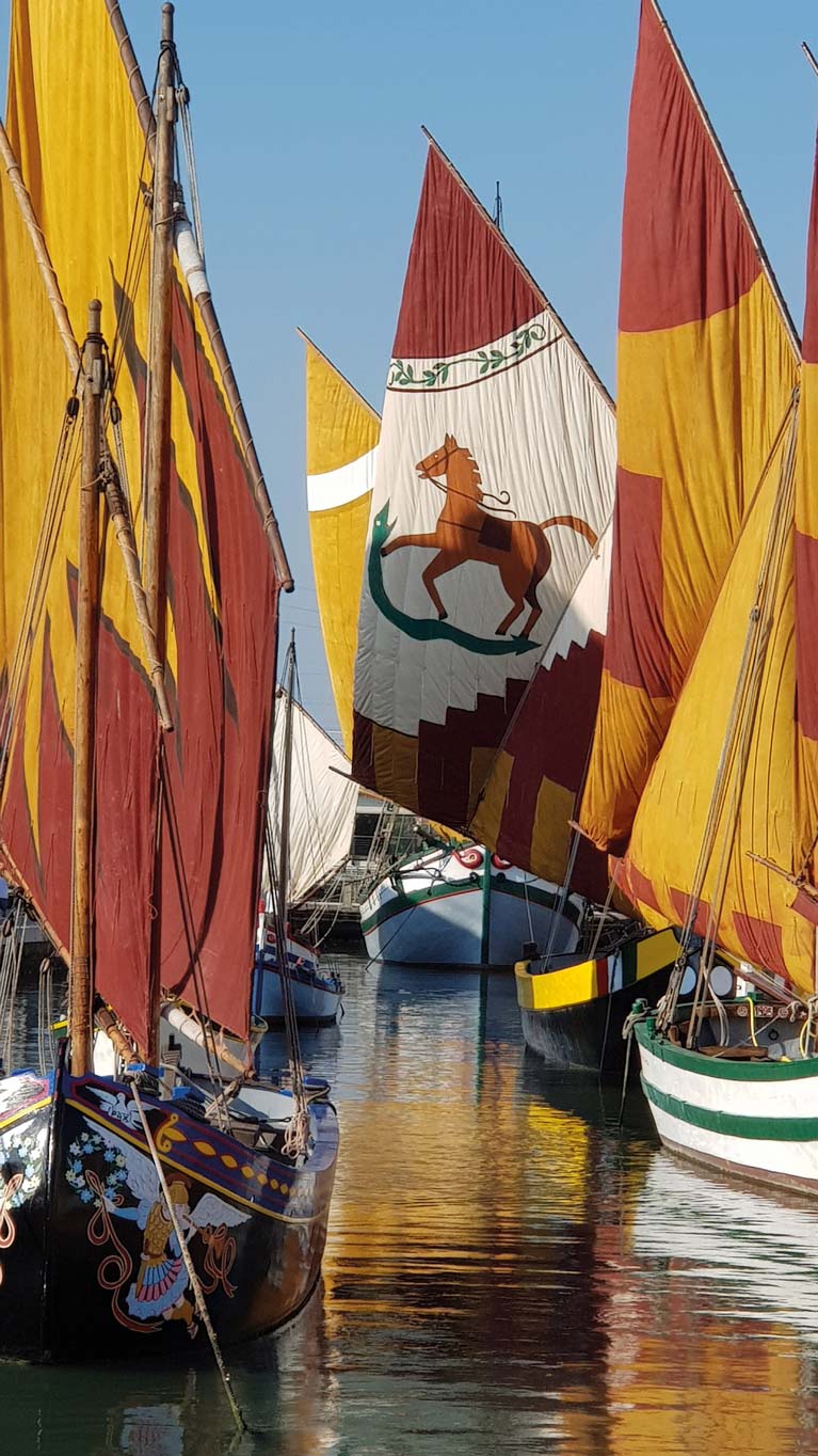 sails at sesenatico15