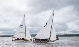 Six different sailing clubs are represented at Mermaid Week at Skerries