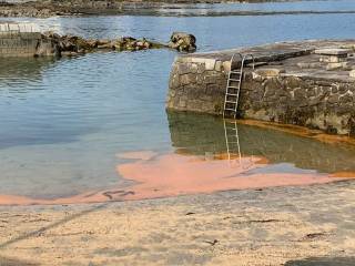 Residue from the latest Dublin wastewater overflow washes up at Sandycove on Tuesday morning 25 June
