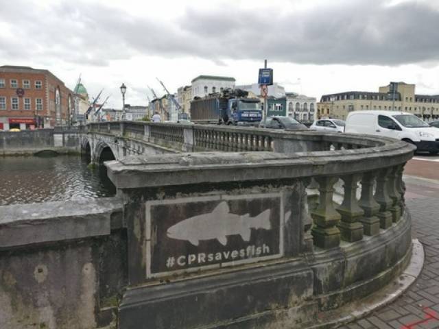 The #CPRsavesfish stencil on a bridge in Cork city