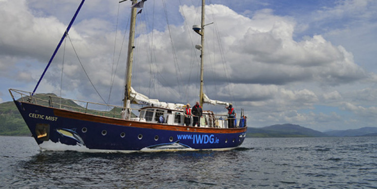 File image of the IWDG’s research vessel Celtic Mist