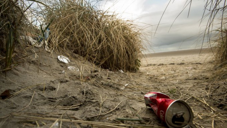 Just 40 per cent of 32 coastal areas surveyed were deemed clean to “European norms”