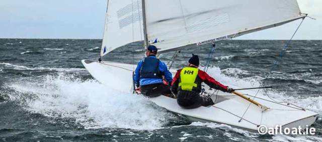 Six short races are scheduled as a two-race mini-series for the Flying Fifteens on Dublin Bay