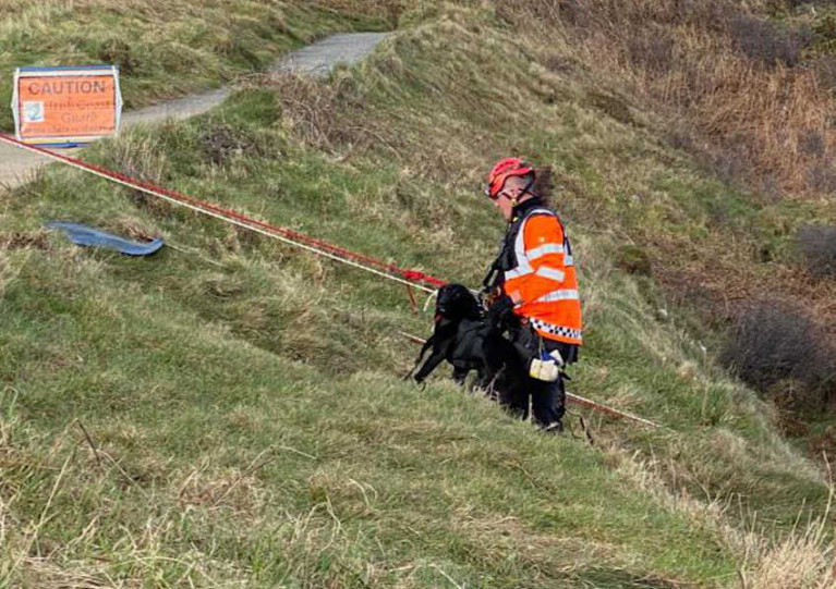 Jacko the dog is helped back up to the top of the cliff, and (below) the Howth Coast Guard cliff rescue team setting up for the descent