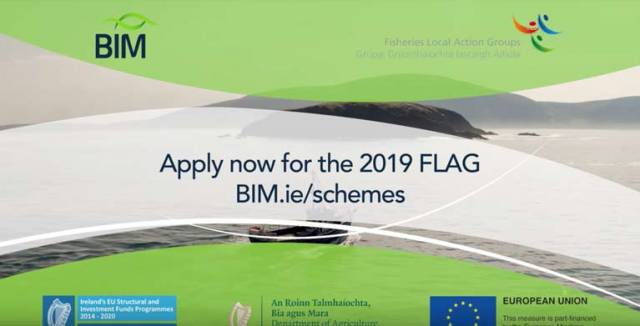 Dozens of projects qualifying for grants totalling up to 4 million euro this year are awaiting letters of approval from Bord Iascaigh Mhara (BIM)
