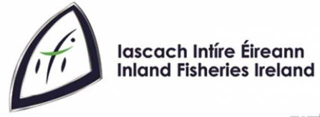 No Salmon Licence Results in Large Fine & Driving Disqualification