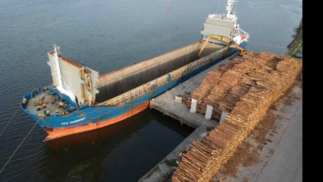 In this view at the Port of Sligo, the port side of Sea Harmony is shown as is the extent of the cargoship's open hold which is clearly demonstrated given the fully retracted hatch-covers are stowed in an upright position. Stacked on the Deepwater Quay were round timber (logs) currently in the process of export as the ship today is bound for Birkenhead, Merseyside in the UK. 