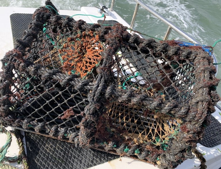 EU-US &quot;Mini Deal&quot; on Lobster Imports  Negotiated by Former Commissioner Phil Hogan May &quot;Wipe Out&quot; Irish Lobster Fishery