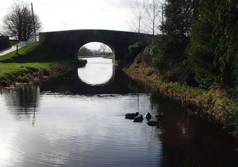 File image of the Royal Canal in Longford