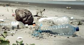 Plastic &amp; Nitrates Concerns For Irish Shores In Latest Coastwatch Survey