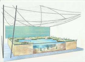 A sketch of the forthcoming Bord Iascaigh Mhara underwater garden at Bloom