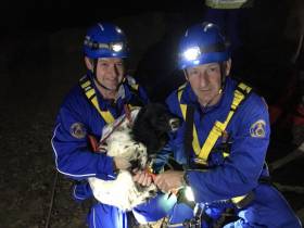 Bell the springer spaniel with her coastguard rescuers on Friday night