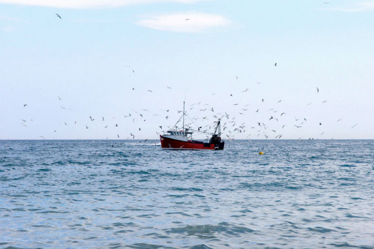 File image of a fishing boat in UK waters