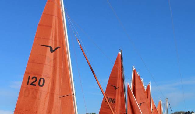 'Alchemy' Leads at Squib Nationals at Holyhead