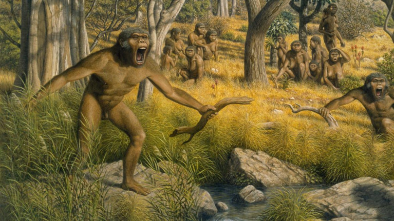 Aran residents were similar to Australopithecus robustus, according to Inis Mor hotelier Keith Madigan 