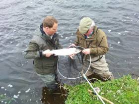 Wild Salmon &amp; Sea Trout Tagging Scheme (Amendment) Regulations 2017 and Conservation Measures For 2018 Season