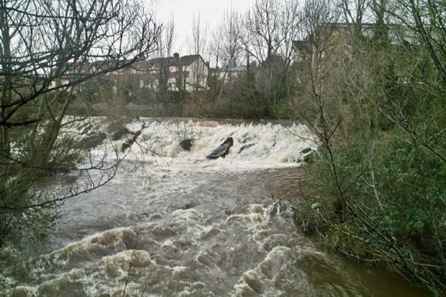 The River Dodder In Flood