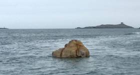 The new Dublin Bay &#039;rock&#039; pictured off Dalkey this week