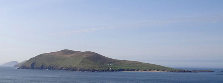 Great Blasket Island is home to thousands of seals in a Special Area of Conservation