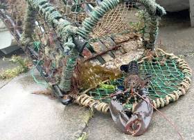 Lobster Pot Fishermen Reminded of Obligation to Other &#039;Users of the Sea&#039;